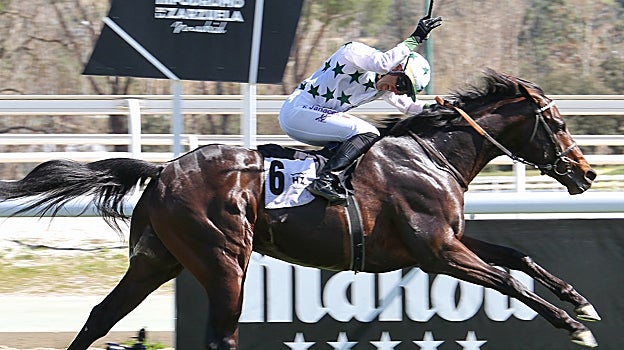 Naranco, vencedor del Premio Asociación de Hipódromos de España