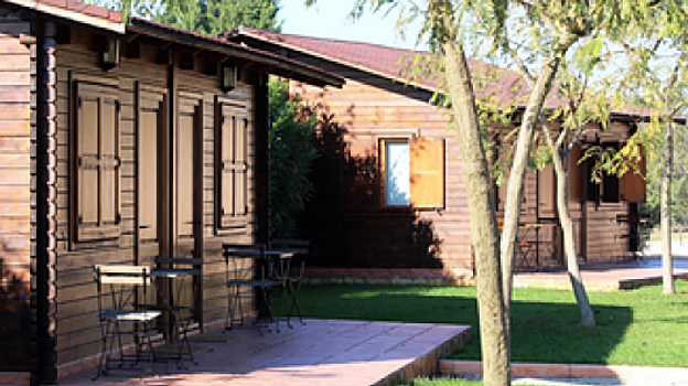 Así son las casas de la Academia Equelite de Villena, donde se alojaba Carlos Alcaraz