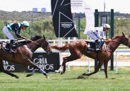 Exhibición de «Pamplona» en el Gran Premio Nacional