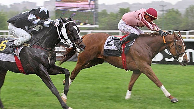 "Bribón" - 4ª Carrera Premio Játiva"