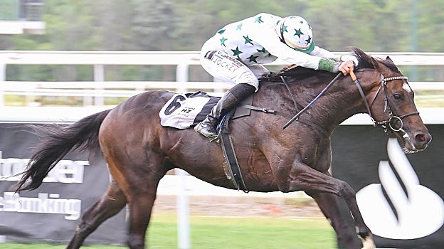 "Amtiyaz" - 3ª Carrera "Premio Rheffissimo"