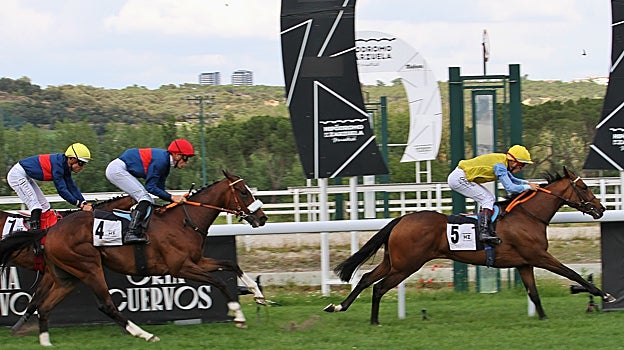 Beria, ganador del Premio Reltaj