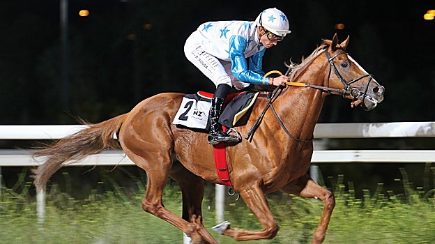 Machu Pichu venció en el Premio Goma