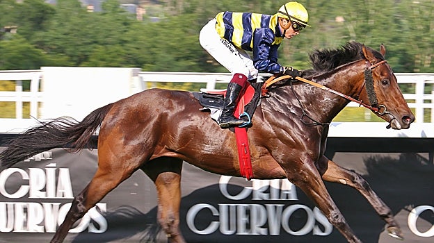 Witiza, ganador del Premio Francisco Jaquotot