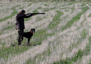 'Sport' y deportividad en la caza