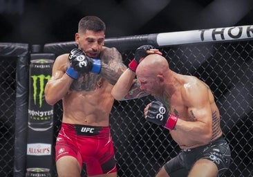 ¡Vamos, Ilia, Matador!