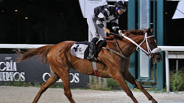 Continúa el gran éxito de las Noches de verano en el Hipódromo de Madrid