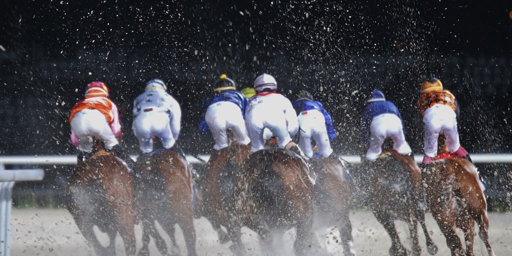Sábado noche en el Hipódromo de Madrid, tú Planazo