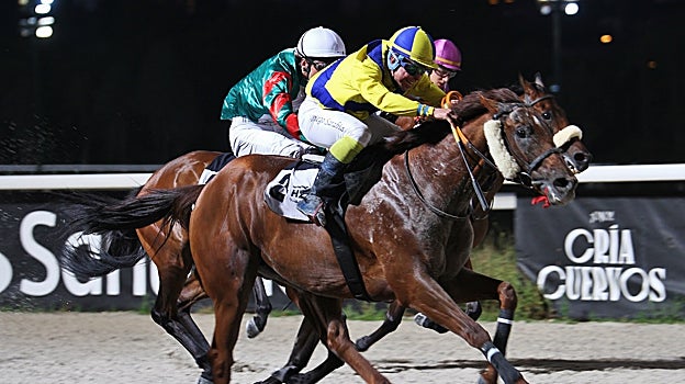 Mazeltof, ganador del Premio África Mora Figueroa