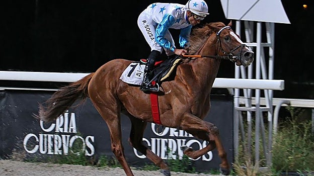 «Machu Picchu» - 2ª Carrera «Premio Cría Nacional - Dyhim Diamond»