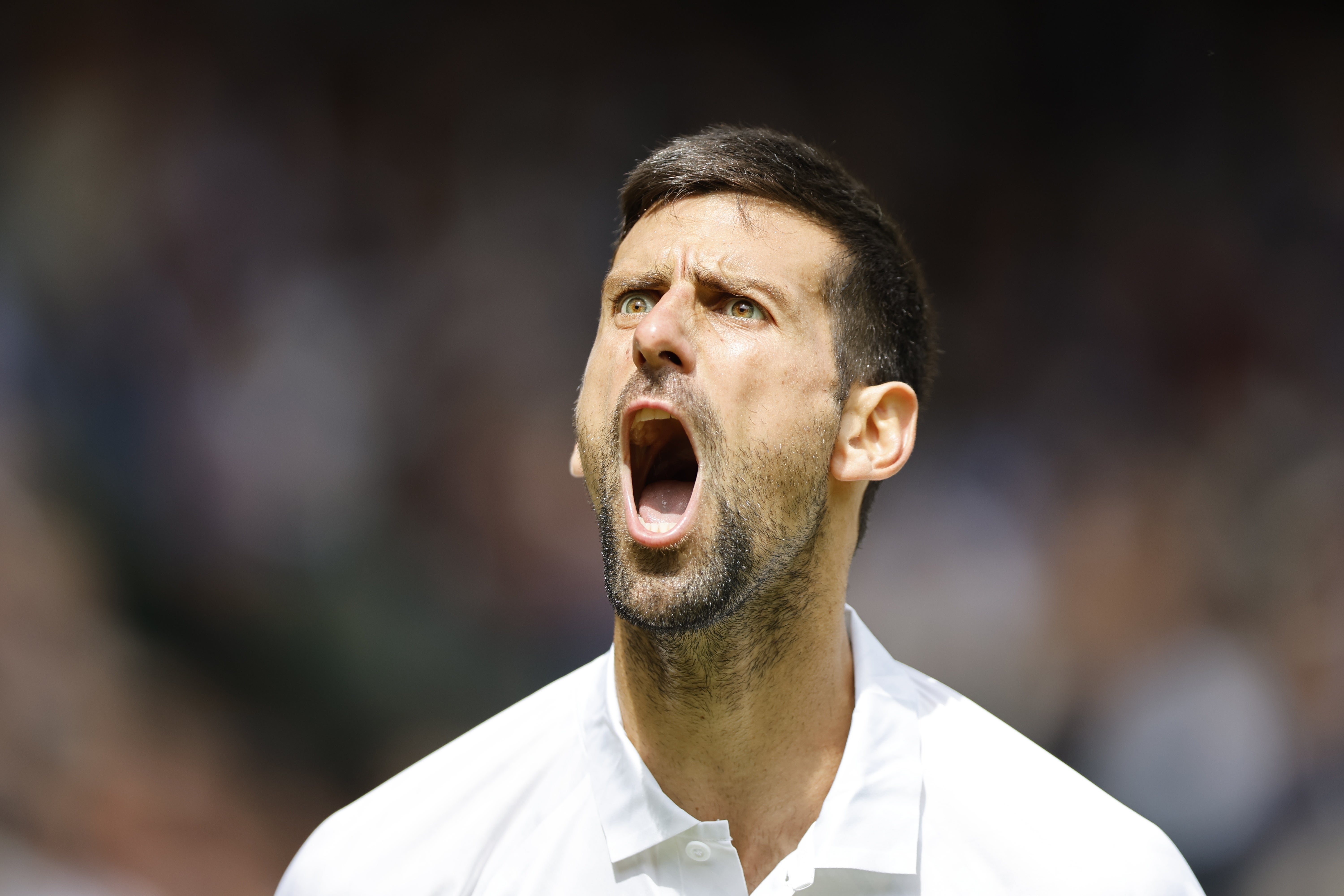 Novak Djokovic reacciona a la terminación de uno de lo set del campeonato Wimbledon 2023