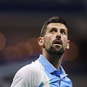 Medvedev, entre Djokovic y el 24