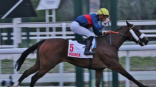 "Princess Child" - 6ª Carrera "Premio Carlos Sobrino - Criterium de Potrancas"