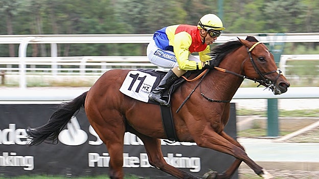 «X Ray» - 1ª Carrera «Premio Biblioteca del Turf 'Miguel Ángel Rivera'»