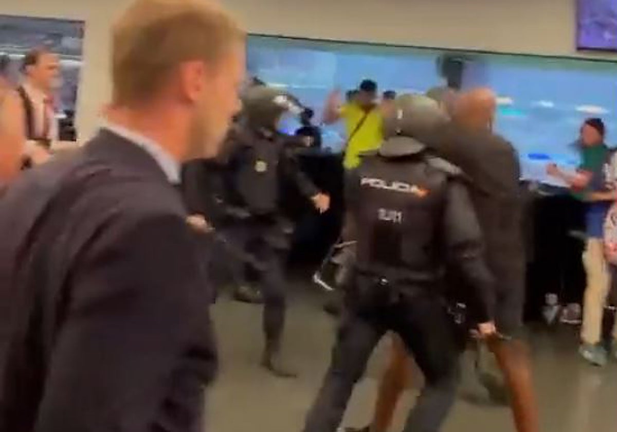 Varios poilcías reducen a un ultra en la zona VIP del Metropolitano