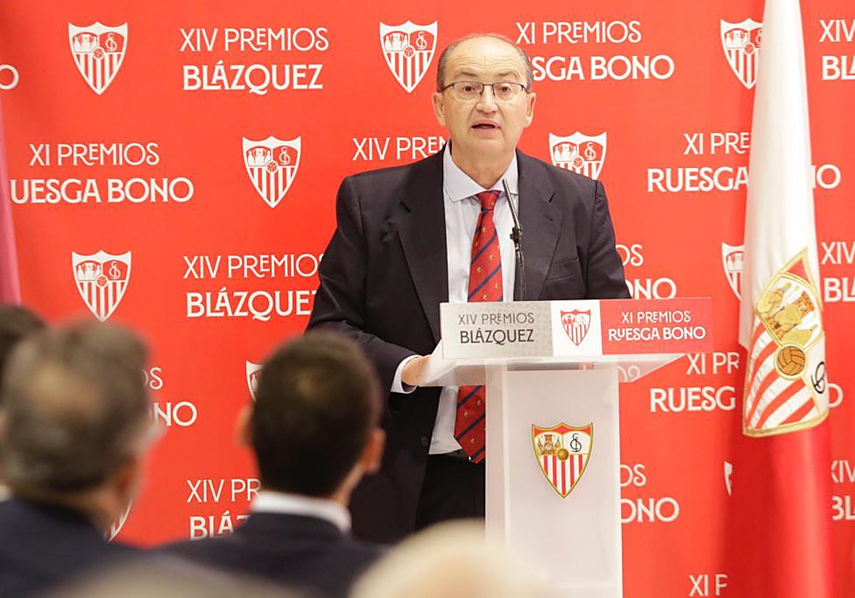 Castro, durante el acto de entrega de los Premios Blázquez de Periodismo