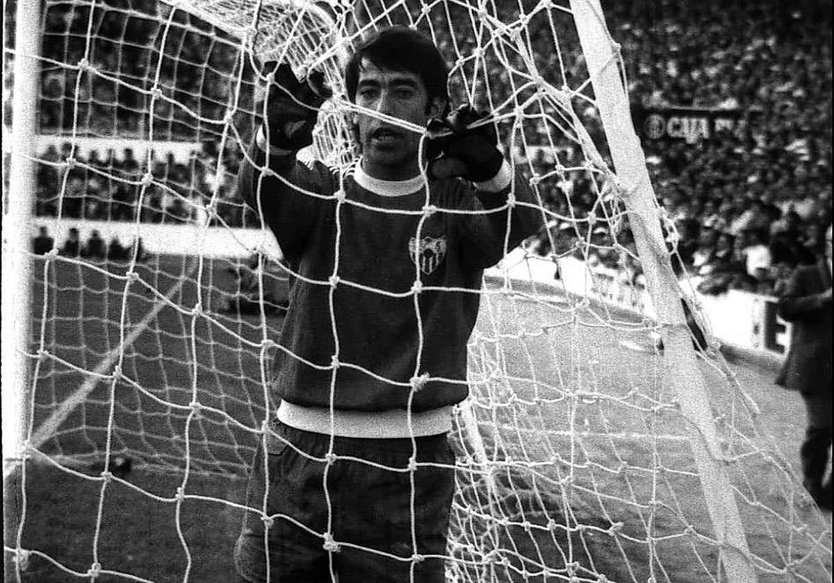 El agujero en el lateral de la red por el que entró la pelota