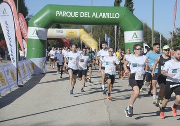 ¿Has corrido la Carrera de Empresas de ABC de Sevilla? ¡Búscate aquí! (II)