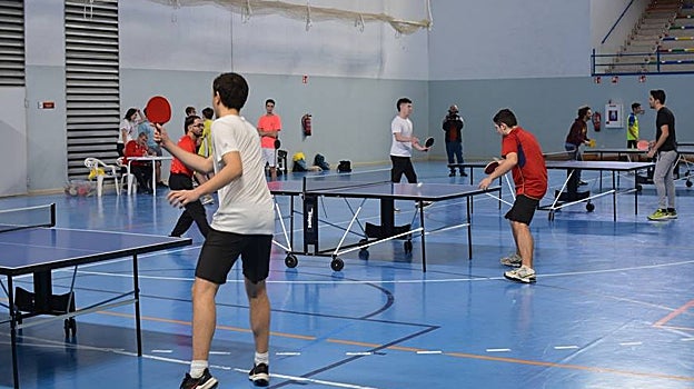 La Universidad de Sevilla abre el plazo de pruebas para los Campeonatos de Andalucía Universitarios