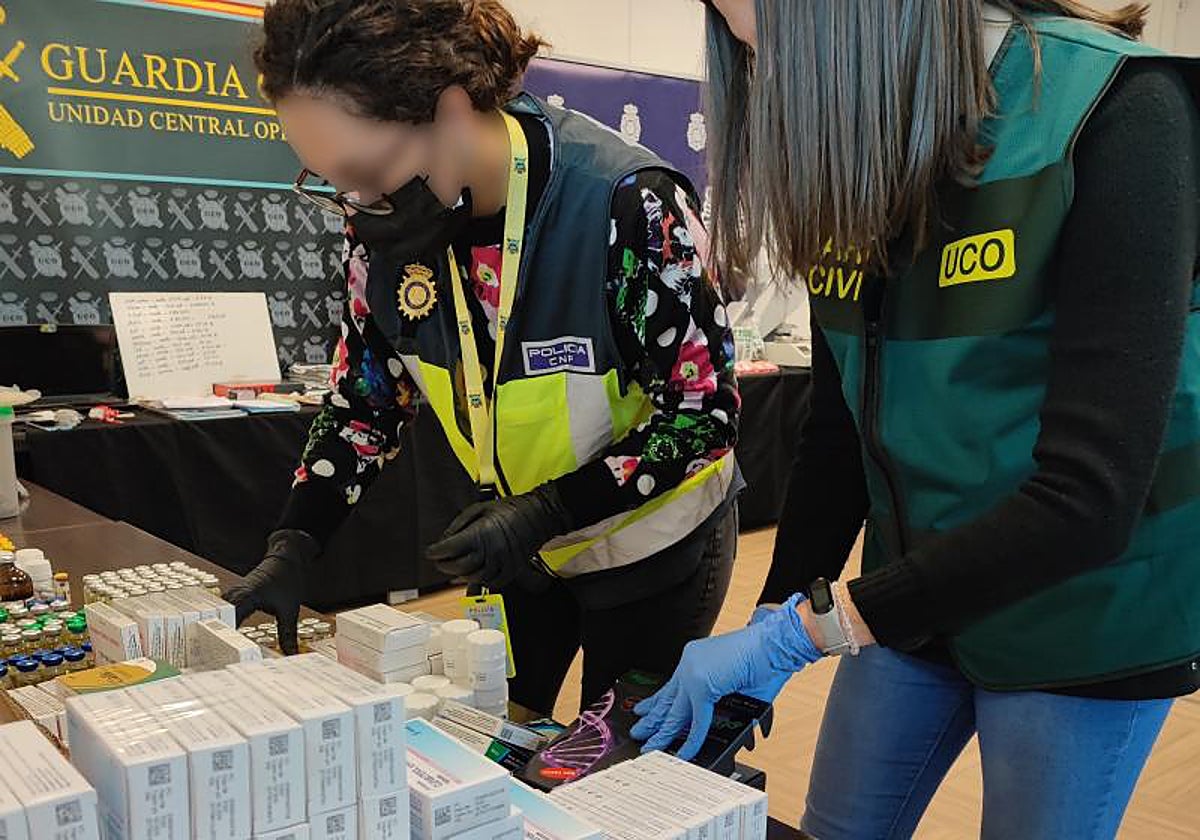 Productos incautados en 2022 en una operación de la Guardia Civil y la Policía