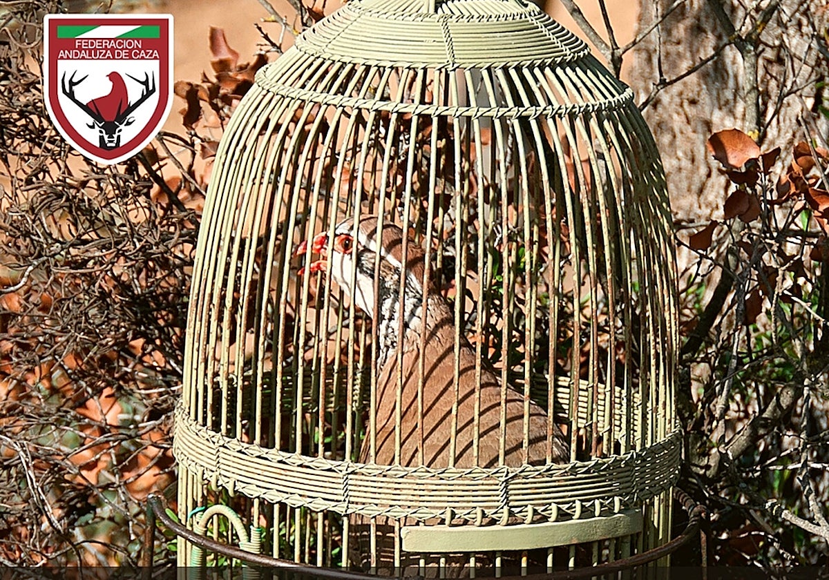 La FAC se reunirá con sus sociedades para pedir apoyos al BIC del Reclamo a través de sus ayuntamientos