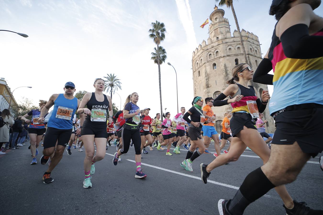 Corredores por la Torre del Oro y Plaza de Toros de la Real Maestranza