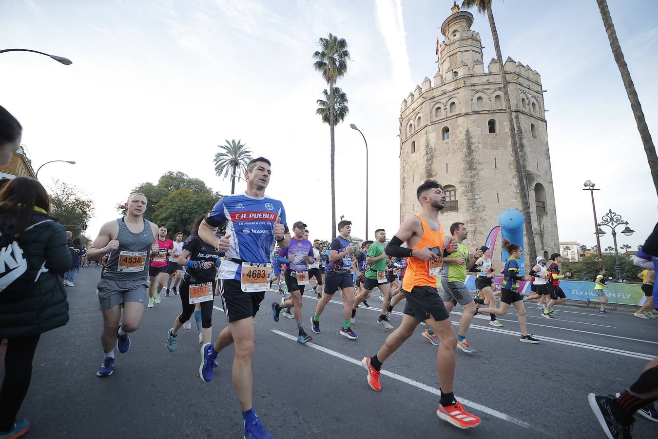 Corredores por la Torre del Oro y Plaza de Toros de la Real Maestranza