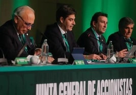 El Betis espera poner en marcha la ampliación de capital a final de marzo