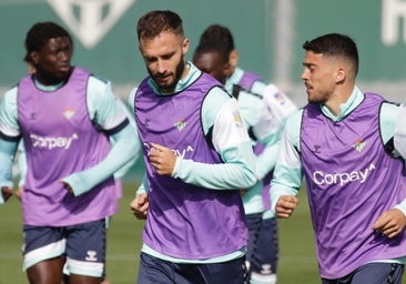 Alineaciones probables del Atlético de Madrid - Betis de LaLiga EA Sports 2023-2024: onces y banquillo de suplentes
