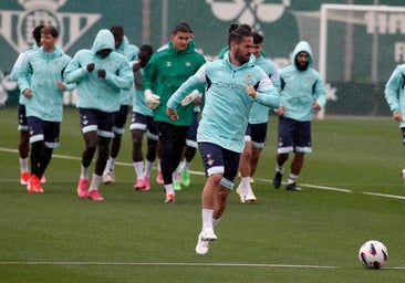 Alineaciones del Girona - Betis de LaLiga EA Sports 2023-2024: onces y banquillo de suplentes