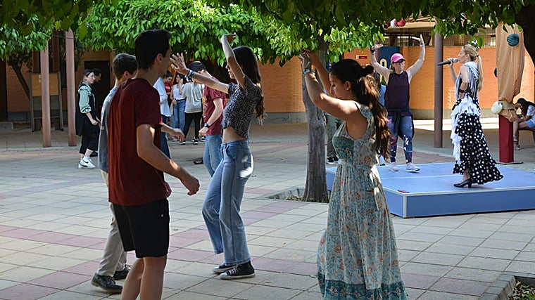 La Universidad de Sevilla se prepara para los CEU 2024