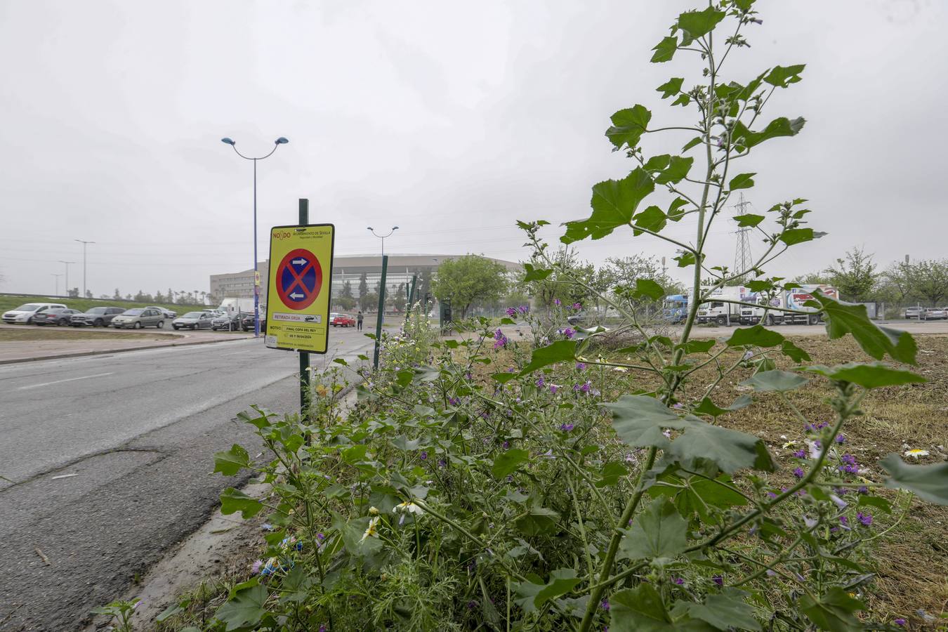 Los aledaños del estadio de La Cartuja presentan numerosos desperfectos