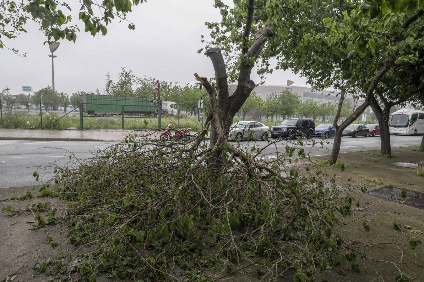 Los aledaños del estadio de La Cartuja presentan numerosos desperfectos