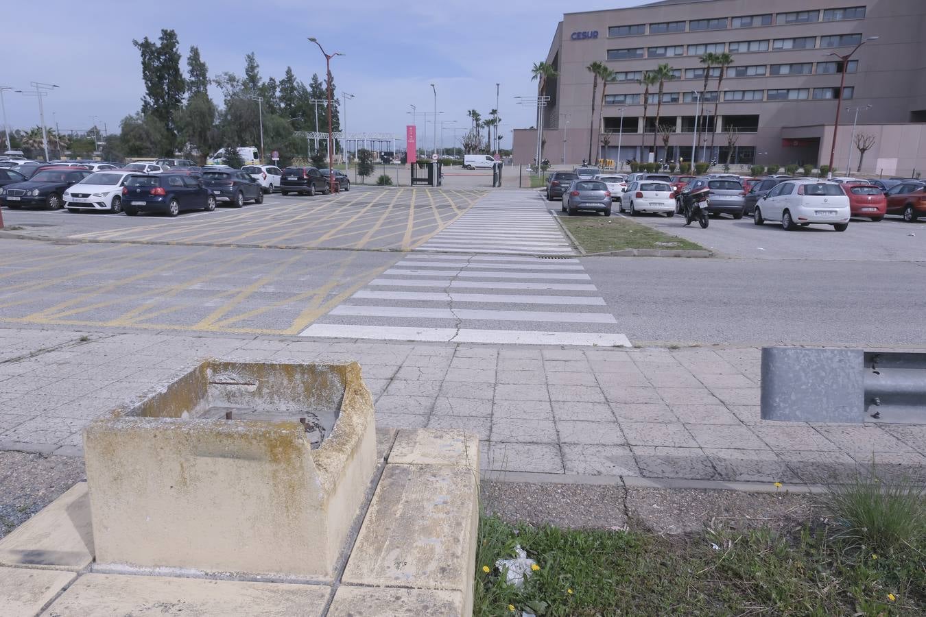 Los aledaños del estadio de La Cartuja presentan numerosos desperfectos