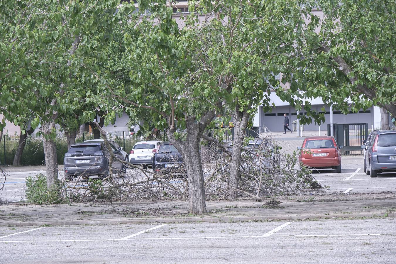 Los aledaños del estadio de La Cartuja presentan numerosos desperfectos