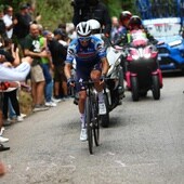 Julian Alaphilippe, vencedor de las 12ª etapa del Giro de Italia