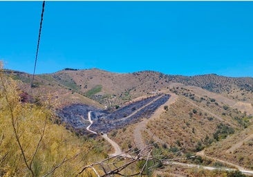 Los cortafuegos realizados por cazadores ayudan a extinguir un incendio forestal en Macharaviaya