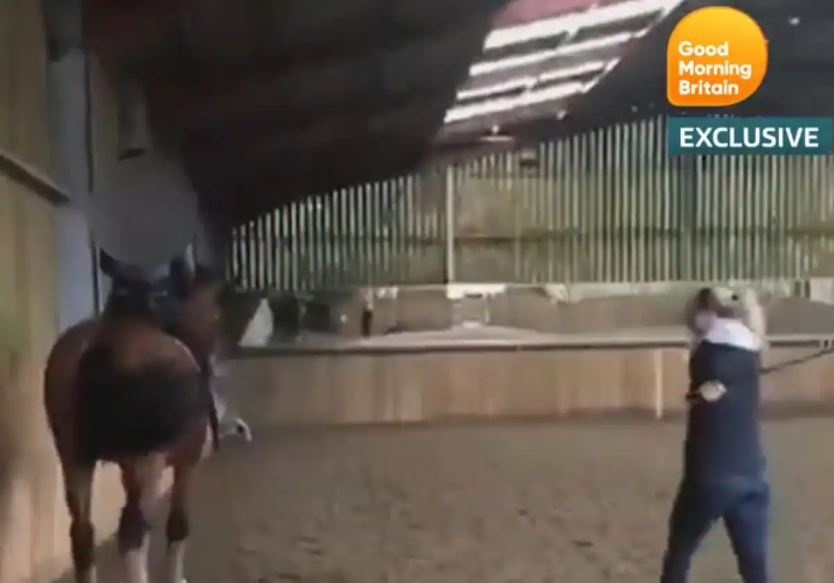 Maltrato animal: el vídeo que ha condenado a la tricampeona olímpica de  hípica