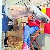 Masajes, sílice, aire acondicionad... los caballos olímpicos son unos marqueses