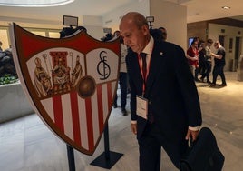 El Mercantil desestima una nueva petición de Del Nido Benavente para el cese cautelar del consejo del Sevilla