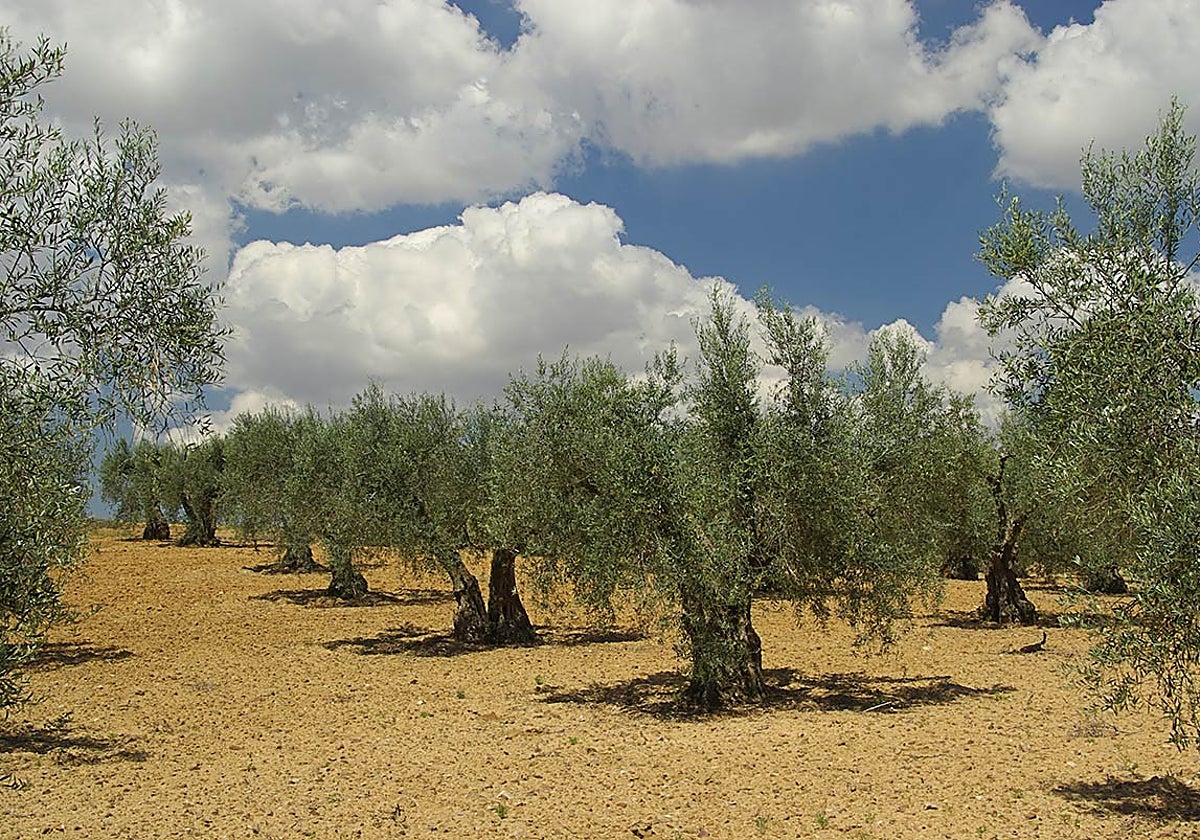 La biodiversidad en boca de todos