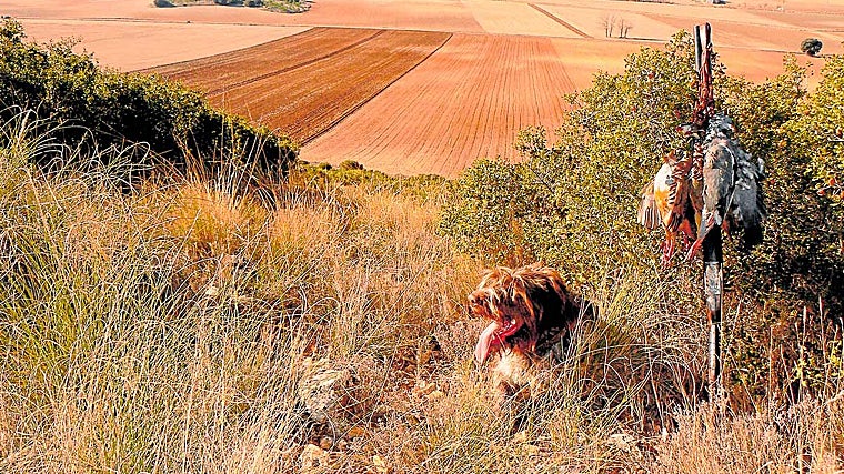 Caza y agricultura, un binomio ancestral.