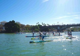 Vuelve a Sevilla el evento de paddle surf 'SUP Festival' este fin de semana