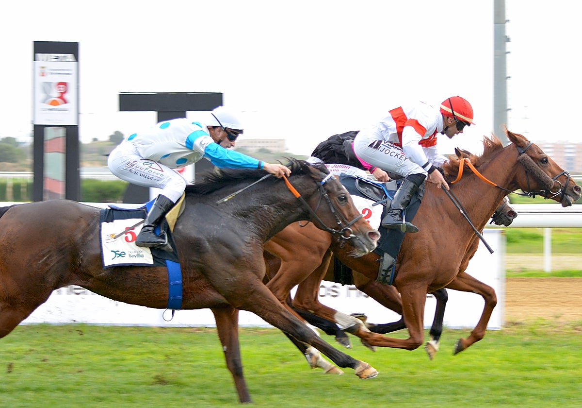 Una de las carreras celebradas en el Gran Hipódromo de Andalucía Javier Piñar Hafner