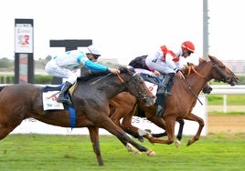 Póquer de triunfos de Vaclav Janacek en el comienzo de la temporada en el Gran Hipódromo de Andalucía