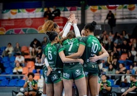 El Fundación Unicaja Andalucía de Dos Hermanas, a por todas en la Copa de la Reina