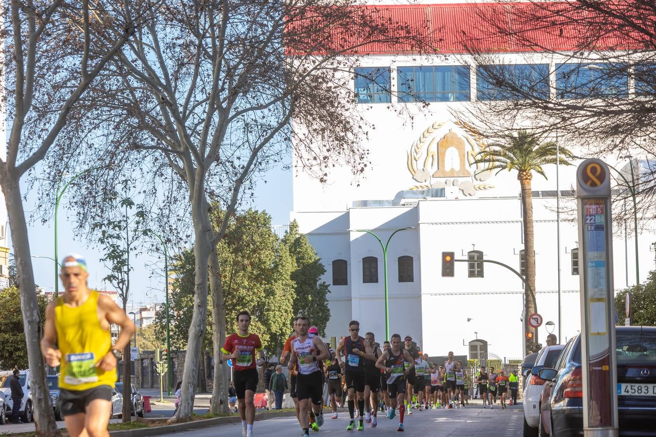 La maratón recorrió alguno de los principales barrios de la capital hispalense