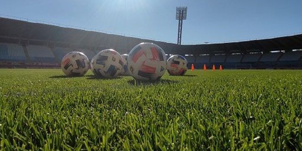 First Federation League: Artificial Grass Debate