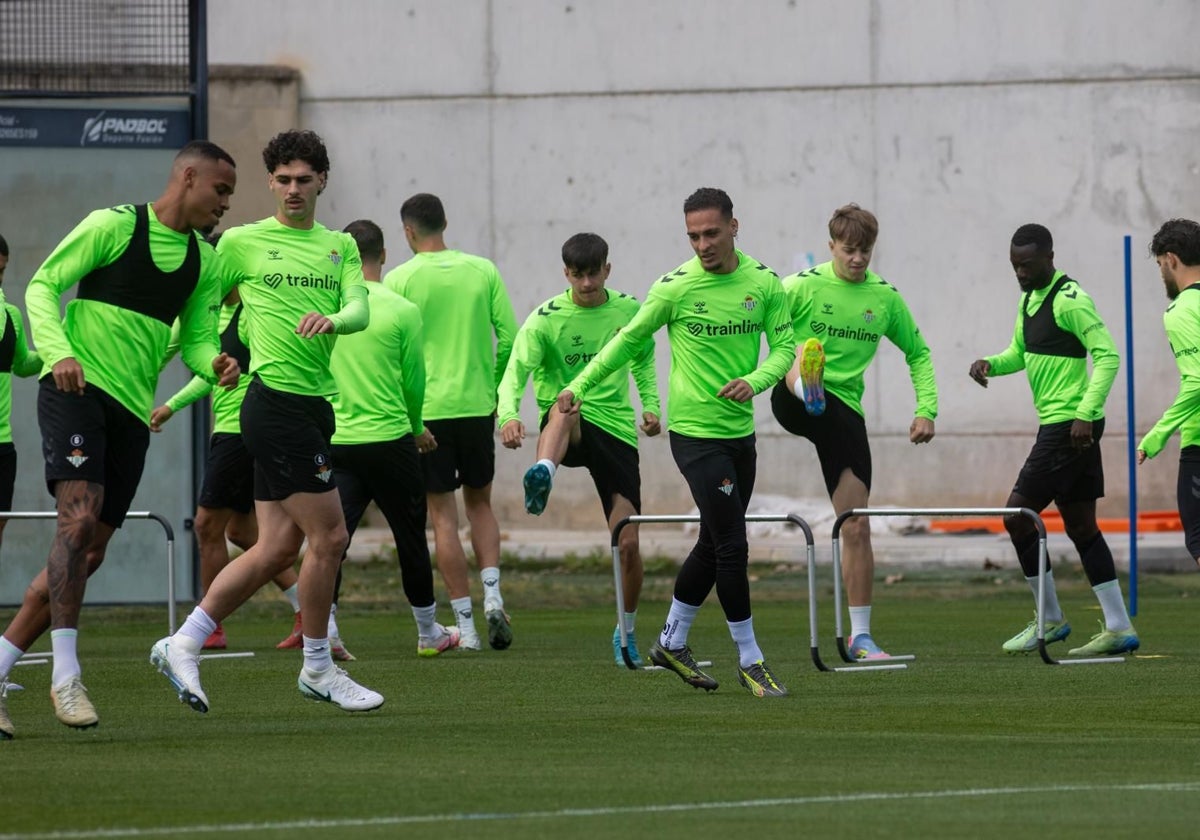 Varios futbolistas del Betis, en el entrenamiento de este domingo