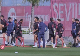 El Sevilla enfoca la visita a Osasuna con Kike Salas y García Pascual disponibles para Caparrós